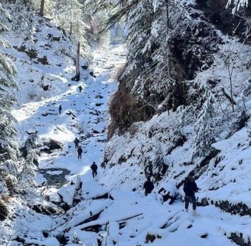 'Security Forces Neutralize 1 terrorist in Kishtwar Anti Terror Operation'